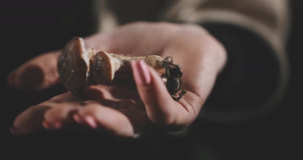 A female hand holding wild mushroom