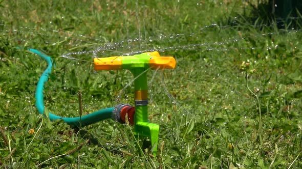 Sprinkler Irrigation Water on Grass