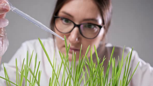 Laboratory Worker Drops Water on Green Grass for Research