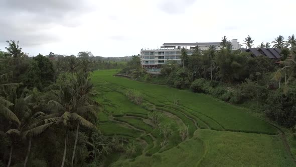 Aerial view of agricultural land near a hotel, Bali, Indonesia.