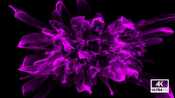 Abstract Flower Blooming Animation Pink V5
