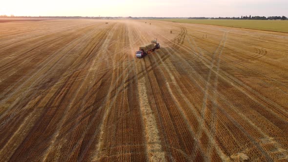 Tractor Loader Loads a Haystack Into a Truck Loaded with Haystacks