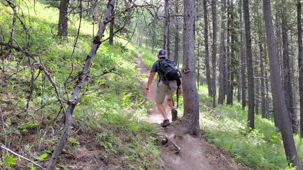 Man Hiking Up Trail