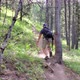 Man Hiking Up Trail - VideoHive Item for Sale