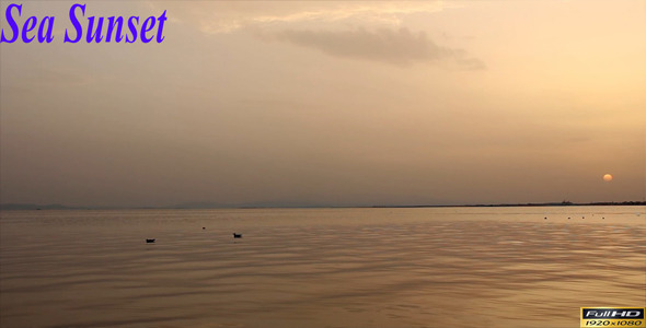 Sea Sunset alt