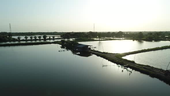 Aerial Footage Beautiful Sunset At Nile Tilapia Fish Farm, Asian Fish Farming. Famous Fish In  Asian