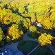Autumn in Europe - VideoHive Item for Sale
