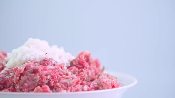 Minced meat and rice on a plate