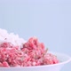 Minced meat and rice on a plate - VideoHive Item for Sale