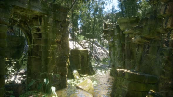 Ruined Ancient Stone House Overgrown with Plants and Ferns in Dense Green Forest