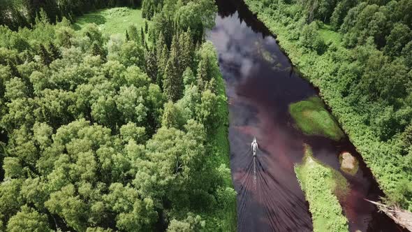 Aerial Drone View Flight Over Pine Tree Forest