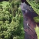 Aerial Drone View Flight Over Pine Tree Forest - VideoHive Item for Sale