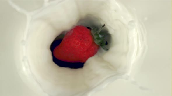 Super Slow Motion Fresh Strawberries with Splashes Falling Into the Milk