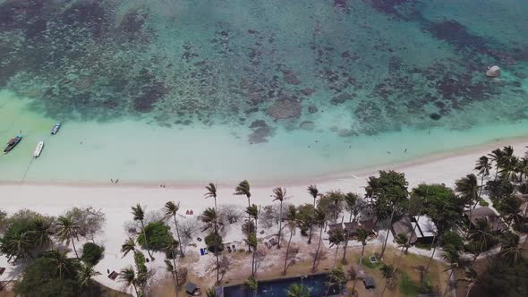 Coral Reef in Turquoise Lagoon Beside Sandy Shoreline with Palm Trees in Tropical Country. Aerial