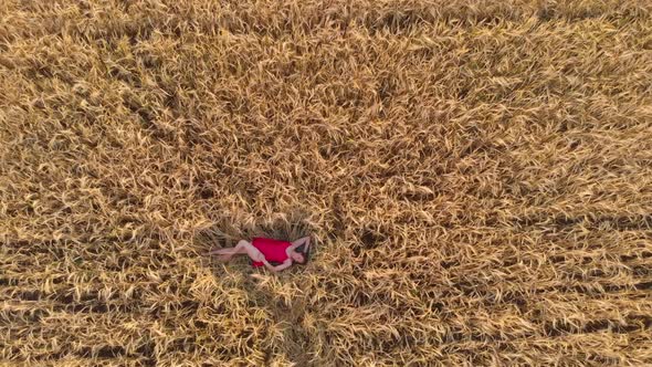 Aerial View of Woman Lying in the Field of Wheat