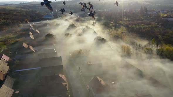 High Angle View of Early Morning Haze Over a Village