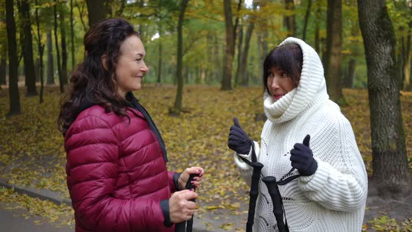 Side View Joyful Caucasian Mature Women Gesturing Highfive Standing in Autumn Park Talking Smiling