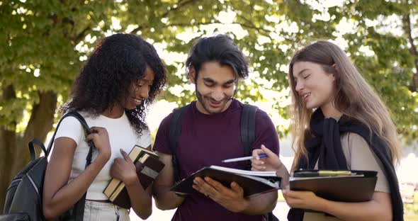 Multi Racial Students Discussing Subject Standing at Park