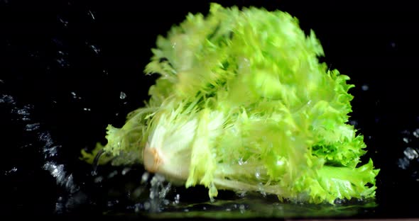 A Bunch of Fresh Salad Falls Into the Water with Splashes. 