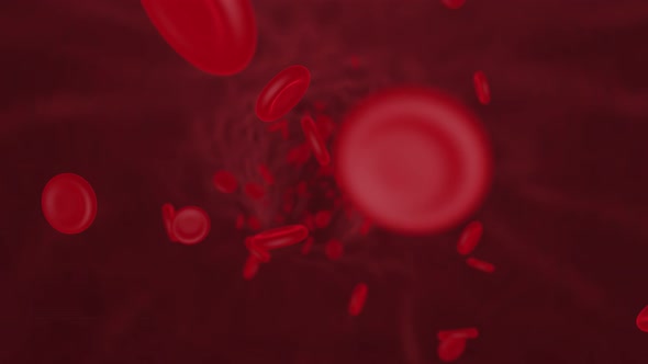 Red blood cells in vein