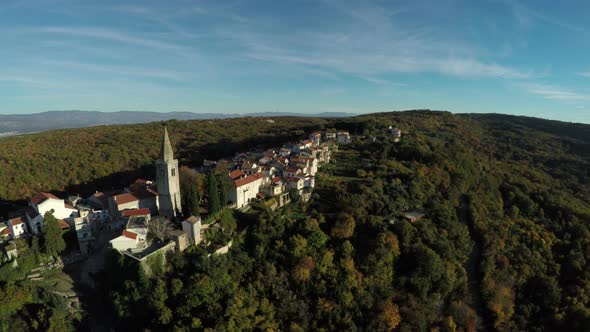 Aerial view of Vrbnik town surrounded by forest