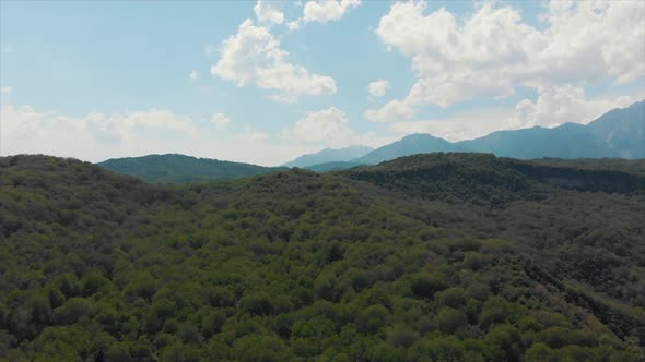 Arial Shoot Wild Walnut Forest in Jalal-abad Province Kyrgyzstan. 