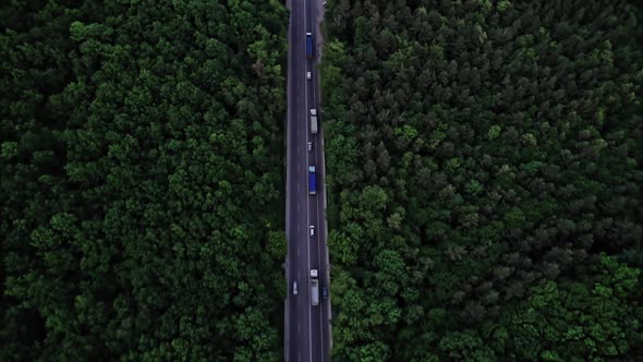 Aerial View Above Road in Forest