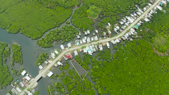 Aerial View of Town is in Mangroves