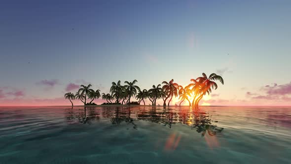 Empty Tropical Beach with Palm Trees and Swaying Ocean Waves alt