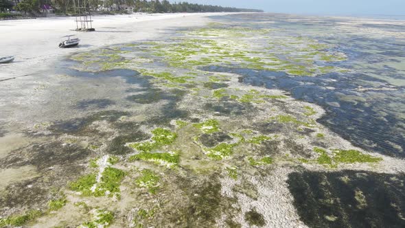 Ocean Low Tide Near the Coast of Zanzibar Island Tanzania