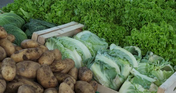 Fresh vegetables on stalls in a southern France market.