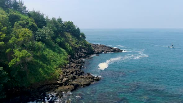 Aerial cliff covered  by lush green vegetation coast of Menganti Java Indonesia