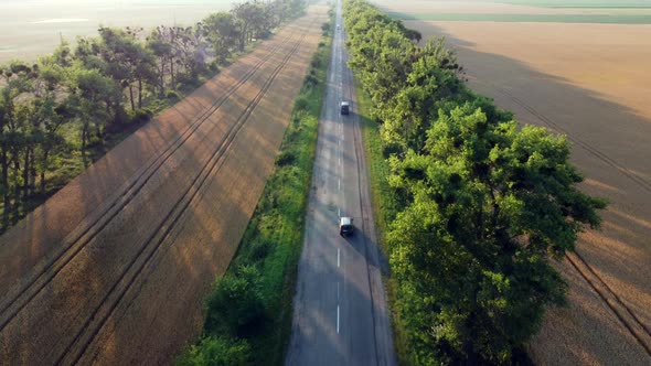 Aerial Drone View Flight Over Highway Wheat Field and Green Trees at Sunset Dawn