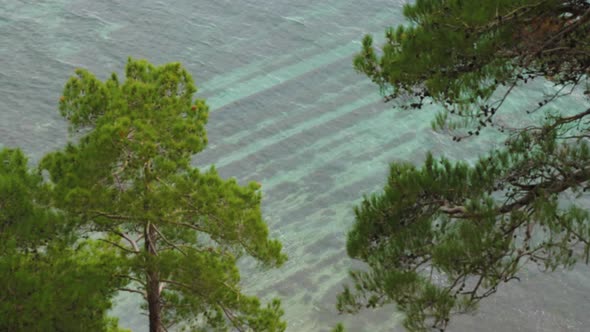 A view of the turquoise sea water from above through the green branches