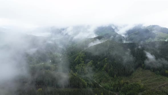 Ukraine, Carpathians: Fog in the Mountains. Aerial