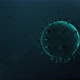 Virus Environment Loop 4K - VideoHive Item for Sale