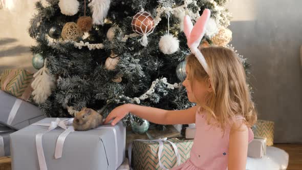 Little Girl Stroking Cute Rabbit Near Xmas Tree