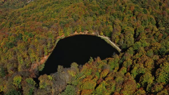 Aerial Drone Tilt Up of Autumn Forest Trees Near Gosh Lake in Armenia
