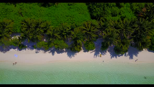 Aerial texture of luxury resort beach wildlife by blue ocean with bright sandy background of a dayou