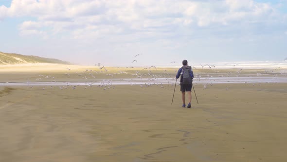 Men is Walking on Beach with Seagulls