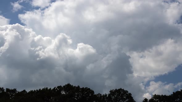 Thick White Clouds Accumulate In The Blue Sky