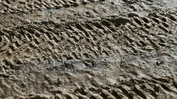 Wheel Tracks on Rough Road