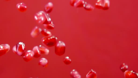 Juicy Pomegranate Grains are Flying Up and Falling Down on the Red Background