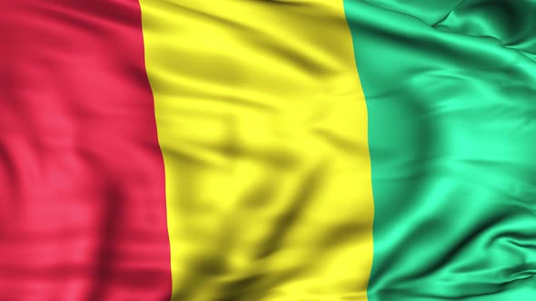 Guinea Flag