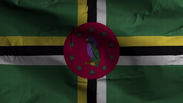 Dominica Flag Textured Waving Background 4K