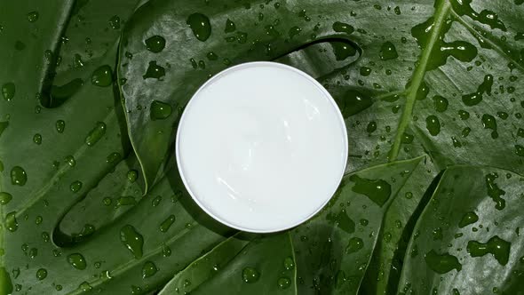 White Cosmetic Cream with Rotation on Background of Tropical Leaves Monstera