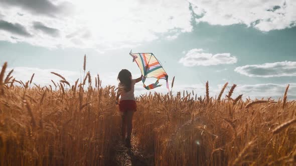 Pretty Girl Playing with Kite in Wheat Field on Summer Day. Childhood, Lifestyle Concept