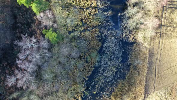 Aerial view of strange swamps and river in Poland