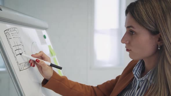 Young Serious Businesswoman Writing Marketing Plan on Whiteboard Standing in Office Room.