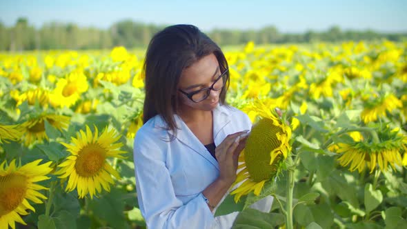 Female Agronomist Examining Crop Quality in Field